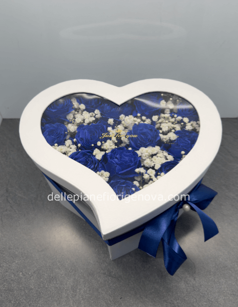 FlowerBox Bianca e Blu S