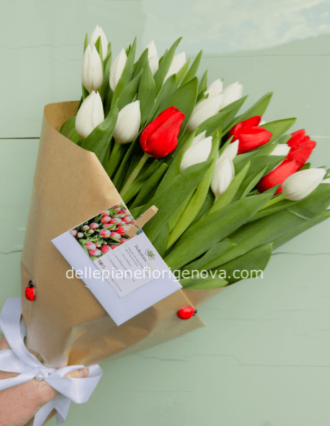 Bouquet tulipani assortiti
