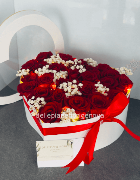 FlowerBox Illuminata S