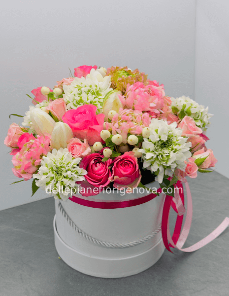 FlowerBox Nicol S
