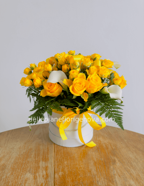 FlowerBox Gialla