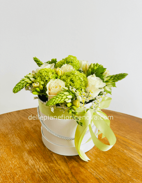FlowerBox Bianca e Verde S
