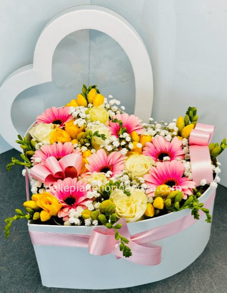 FlowerBox Mista Colorata