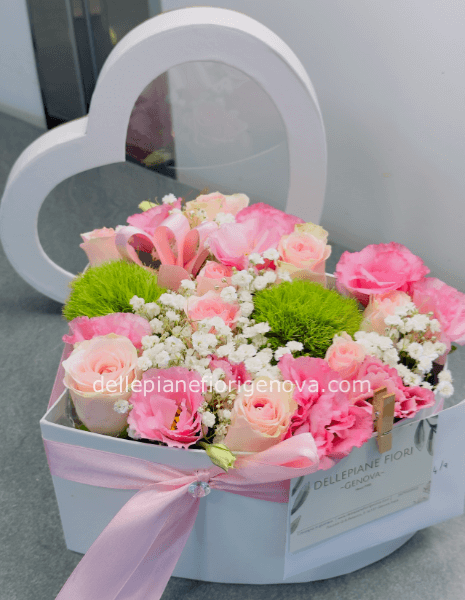 FlowerBox Solare S