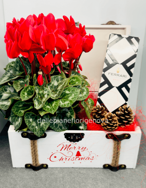 Forziere di natale + Ferrari Trento DOC Brut 0,75 Lt.