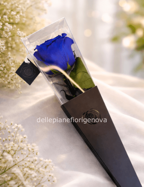 Rosa Blu Eterna 