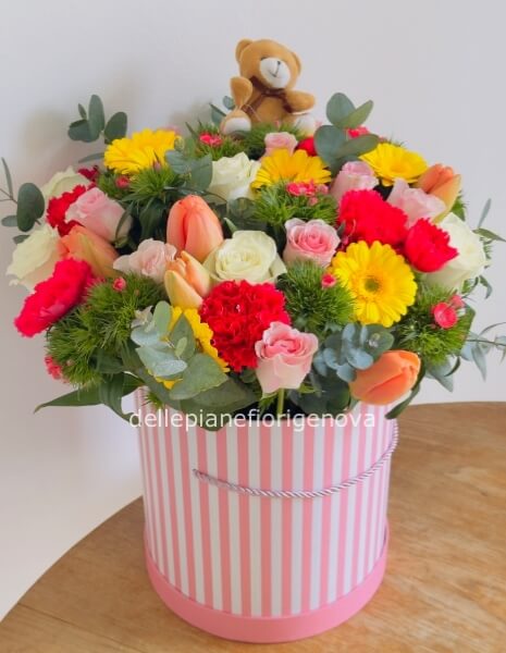 FlowerBox Coloratissima