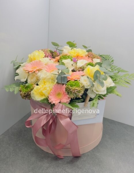 FlowerBox Olina S