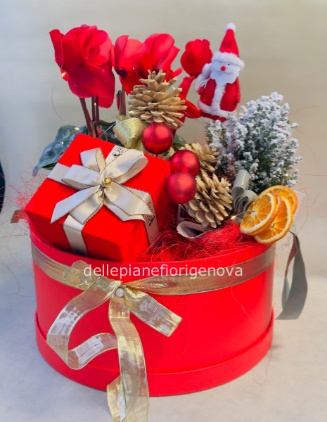 FlowerBox Mega di Natale 