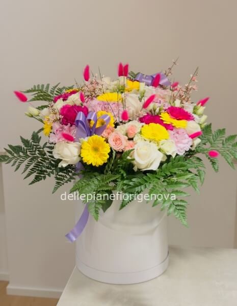 FlowerBox Maya S