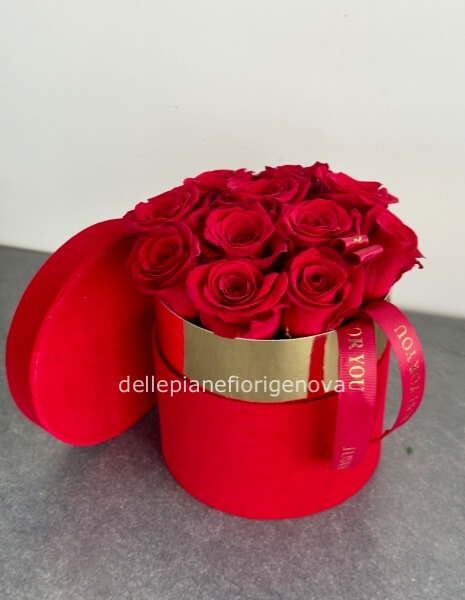 Misura S (Diametro 18cm)