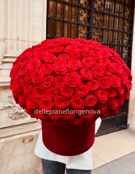 FlowerBox Velluto Rossa