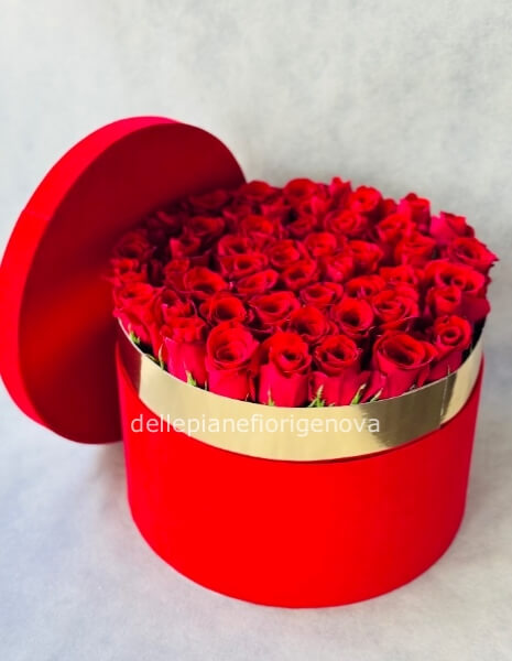 Misura S (Diametro 18cm)