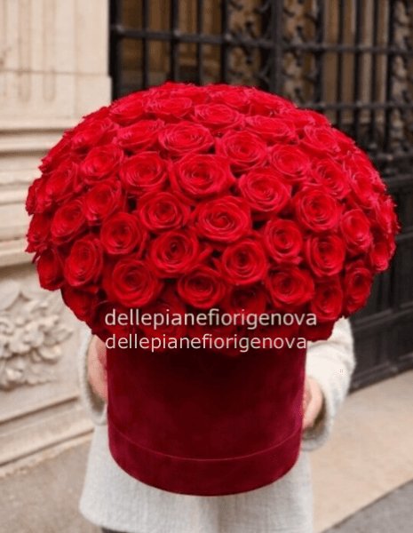 FlowerBox Velluto Rossa
