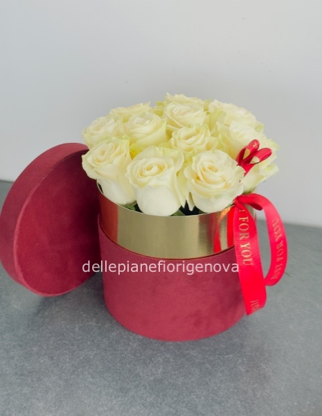 Misura S (Diametro 18cm)