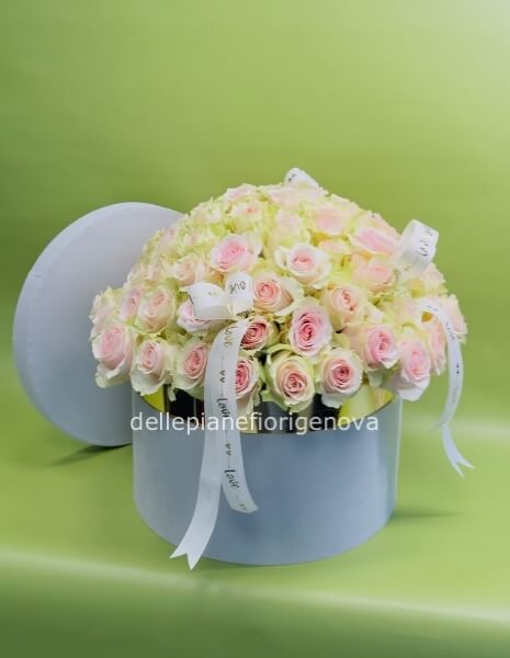 Misura S (Diametro 18cm)