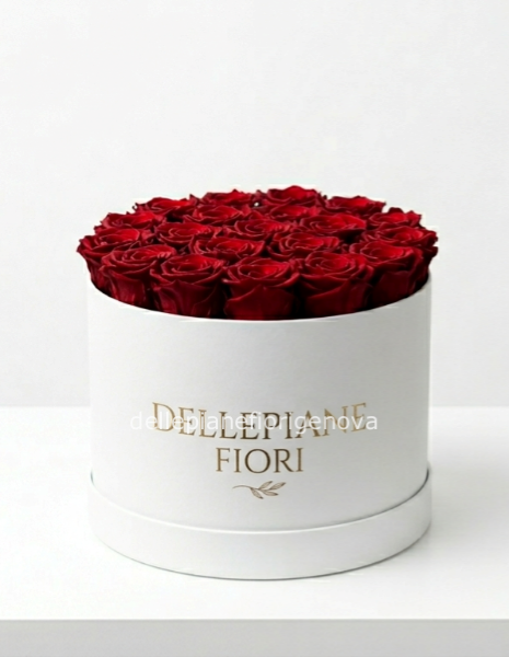 Cilindro con 25 Rose Rosse