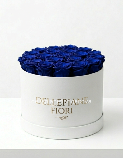Cilindro con 25 Rose Blu