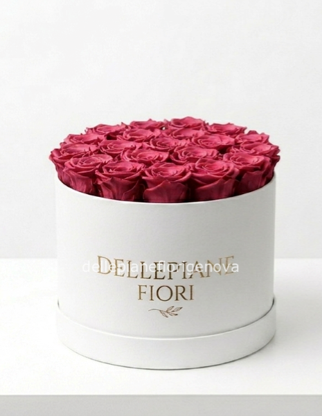 Cilindro con 25 Rose Rosa