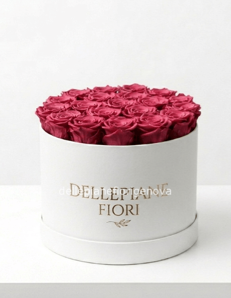 Cilindro con 25 Rose Rosa