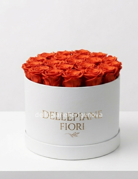 Cilindro con 25 Rose Arancio