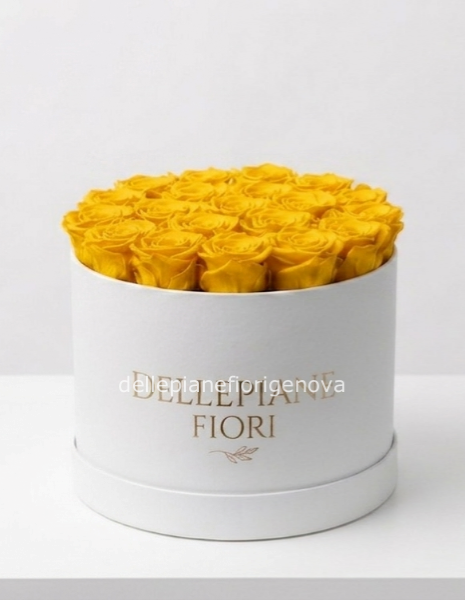 Cilindro con 25 Rose Gialle