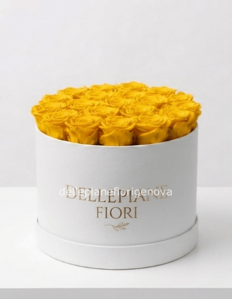 Cilindro con 25 Rose Gialle