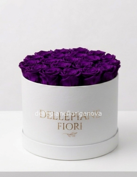 Cilindro con 25 Rose Viola