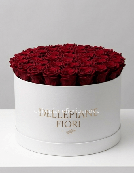 Cilindro con 50 rose Rosse