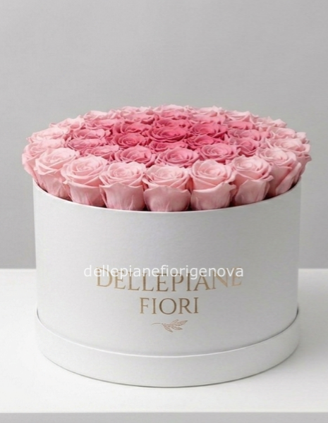 Cilindro con 50 Rose Rosa