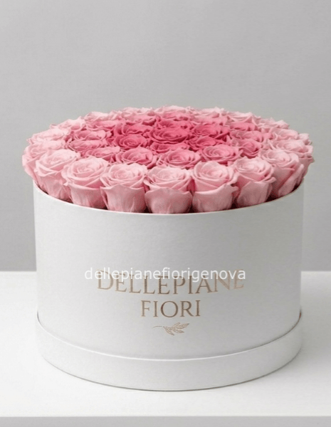 Cilindro con 50 Rose Rosa
