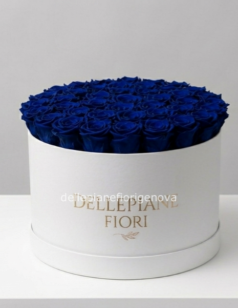 Cilindro con 50 Rose Blu 
