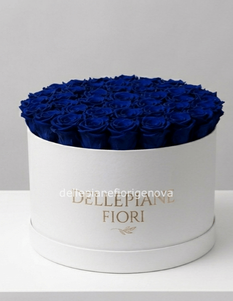 Cilindro con 50 Rose Blu
