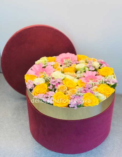 FlowerBox Philips