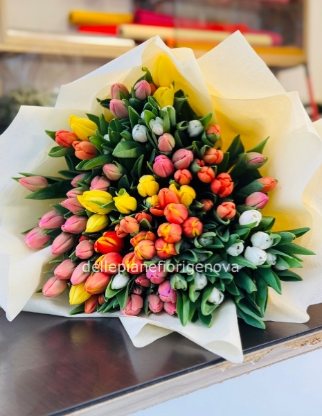 Bouquet Mega Tulips