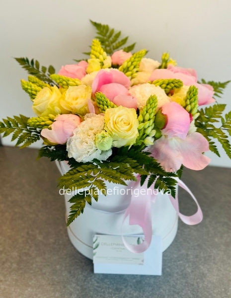 FlowerBox May S