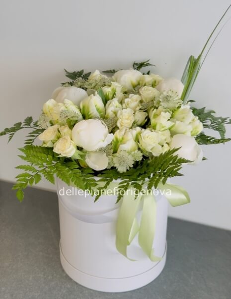 FlowerBox Petalo Bianco S
