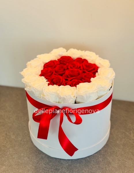 Cilindro con 25 Rose Miste