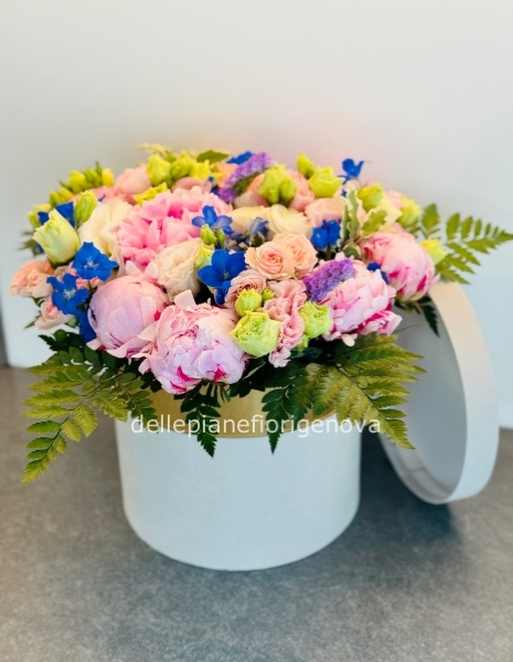 FlowerBox Edoardo S