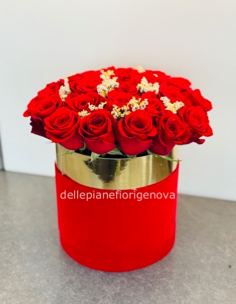 FlowerBox Imperial